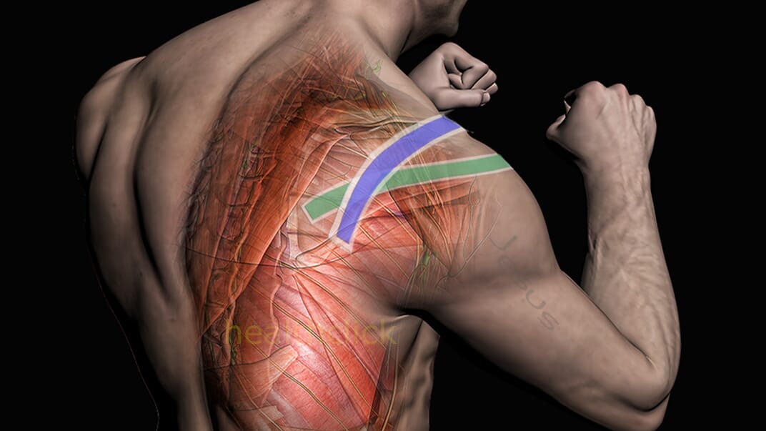 Online CEUs for PT, PTA and OT